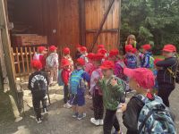 Vlet v Ronov pod Radhotm 5